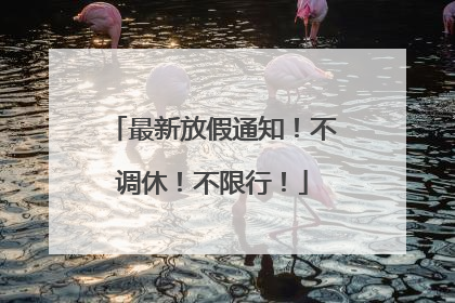 最新放假通知！不调休！不限行！