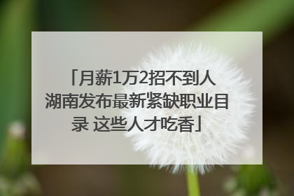 月薪1万2招不到人 湖南发布最新紧缺职业目录 这些人才吃香