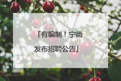 有编制！宁德发布招聘公告
