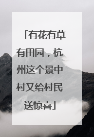 有花有草有田园，杭州这个景中村又给村民送惊喜