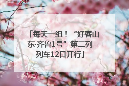 每天一组！“好客山东·齐鲁1号”第二列列车12日开行