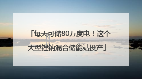 每天可储80万度电！这个大型锂钠混合储能站投产