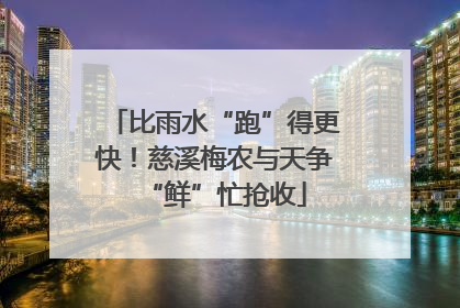比雨水“跑”得更快！慈溪梅农与天争“鲜”忙抢收