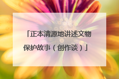 正本清源地讲述文物保护故事（创作谈）