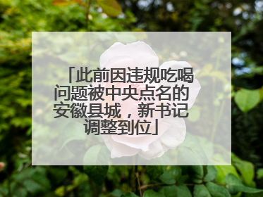 此前因违规吃喝问题被中央点名的安徽县城，新书记调整到位