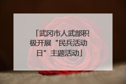 武冈市人武部积极开展“民兵活动日”主题活动