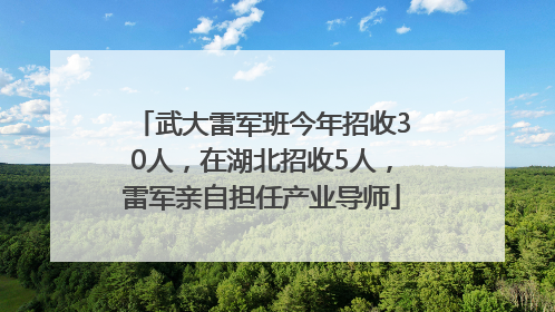 武大雷军班今年招收30人，在湖北招收5人，雷军亲自担任产业导师