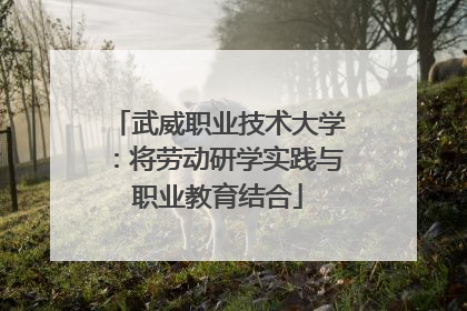 武威职业技术大学：将劳动研学实践与职业教育结合