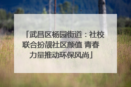 武昌区杨园街道：社校联合扮靓社区颜值 青春力量推动环保风尚