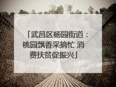 武昌区杨园街道：桃园飘香采摘忙 消费扶贫促振兴