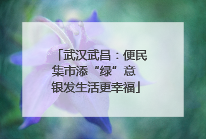 武汉武昌：便民集市添“绿”意 银发生活更幸福