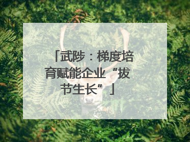 武陟：梯度培育赋能企业“拔节生长”