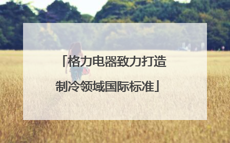 格力电器致力打造制冷领域国际标准