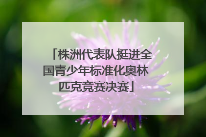株洲代表队挺进全国青少年标准化奥林匹克竞赛决赛