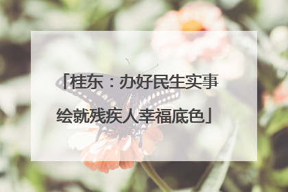桂东：办好民生实事 绘就残疾人幸福底色