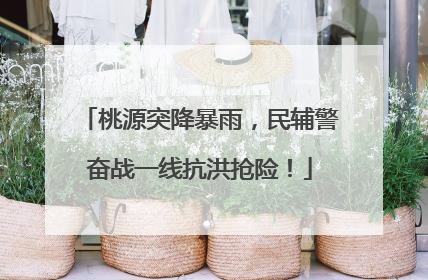 桃源突降暴雨，民辅警奋战一线抗洪抢险！