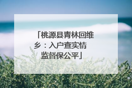 桃源县青林回维乡：入户查实情 监督保公平