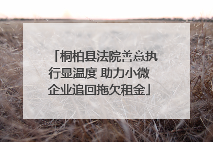 桐柏县法院善意执行显温度 助力小微企业追回拖欠租金