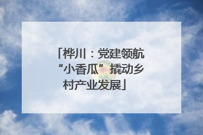 桦川：党建领航“小香瓜”撬动乡村产业发展