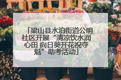 梁山县水泊街道公明社区开展“清凉饮水润心田 向日葵开花祝夺魁”助考活动
