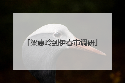 梁惠玲到伊春市调研