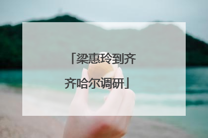 梁惠玲到齐齐哈尔调研