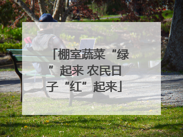 棚室蔬菜“绿”起来 农民日子“红”起来