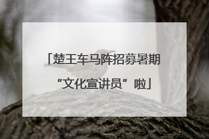 楚王车马阵招募暑期“文化宣讲员”啦
