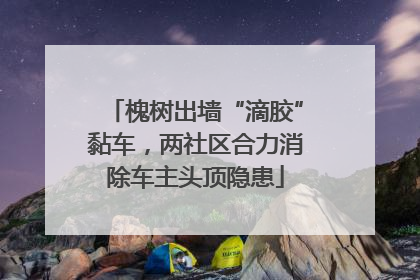 槐树出墙“滴胶”黏车，两社区合力消除车主头顶隐患