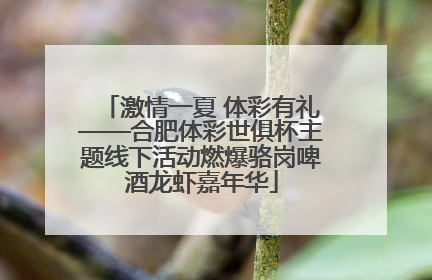 激情一夏 体彩有礼——合肥体彩世俱杯主题线下活动燃爆骆岗啤酒龙虾嘉年华