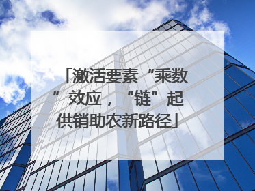 激活要素“乘数”效应，“链”起供销助农新路径