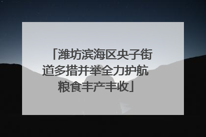 潍坊滨海区央子街道多措并举全力护航粮食丰产丰收