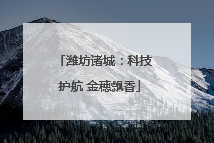 潍坊诸城：科技护航 金穗飘香