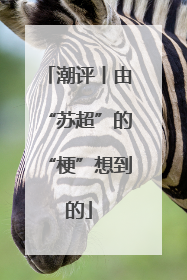 潮评丨由“苏超”的“梗”想到的