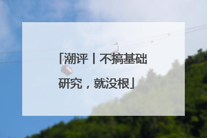 潮评丨不搞基础研究，就没根