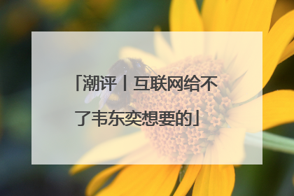 潮评丨互联网给不了韦东奕想要的