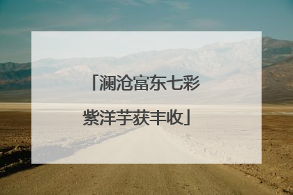 澜沧富东七彩紫洋芋获丰收