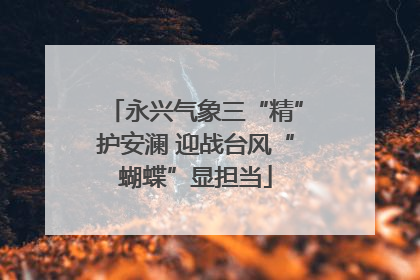 永兴气象三“精”护安澜 迎战台风“蝴蝶”显担当