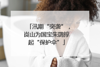 汛期“突袭”，崀山为国宝朱鹮撑起“保护伞”