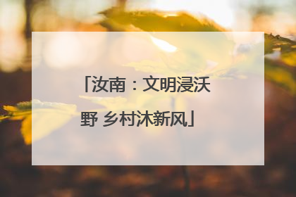 汝南：文明浸沃野 乡村沐新风