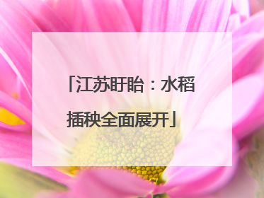江苏盱眙：水稻插秧全面展开