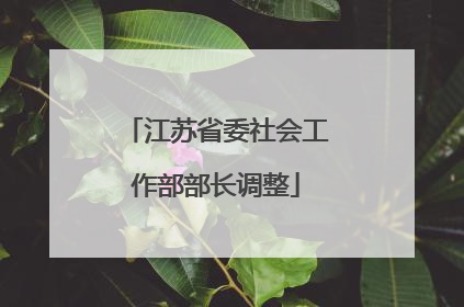 江苏省委社会工作部部长调整
