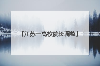 江苏一高校院长调整