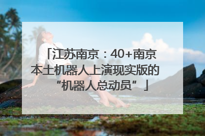 江苏南京：40+南京本土机器人上演现实版的“机器人总动员”