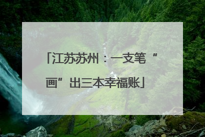 江苏苏州：一支笔“画”出三本幸福账