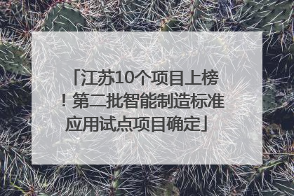 江苏10个项目上榜！第二批智能制造标准应用试点项目确定