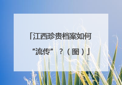 江西珍贵档案如何“流传”？（图）