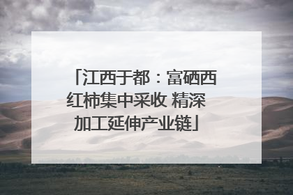 江西于都：富硒西红柿集中采收 精深加工延伸产业链