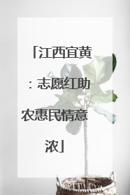江西宜黄：志愿红助农惠民情意浓