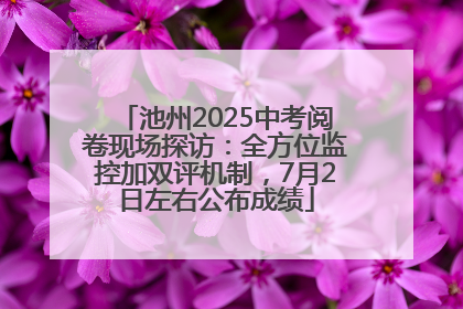 池州2025中考阅卷现场探访：全方位监控加双评机制，7月2日左右公布成绩